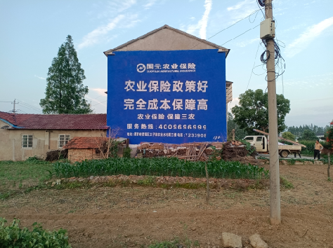  新安墙体广告的优劣势你知道吗？